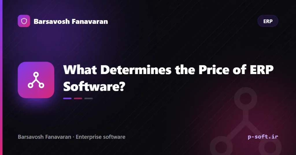 What Determines the Price of ERP Software?