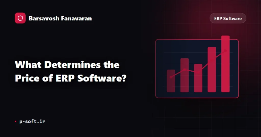 What Determines the Price of ERP Software?